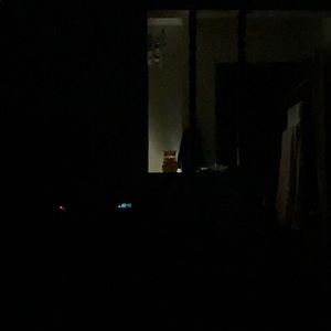 Meet your Posher, Jean